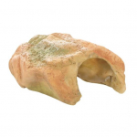 Kilpkonna terrass, mittepleekuv simulatsioon, roomajate kilpkonna peesitusplatvorm kalapaagi haljastuse terraariumi varustus A