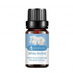10 ml &uuml;he eeterliku &otilde;li niisutav l&otilde;&otilde;gastav s&uuml;gavpuhastav valge orhidee&otilde;li joogaruumi jaoks White orchid