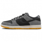 Nike Dunk Low SB Dark Smoke Grey Unisex tossud Must Photon-Dust Kummik-Helepruun HF3063-001 46
