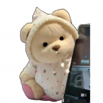 30cm K&auml;sitsi valmistatud Teddy Tale Karu Pl&uuml;&uuml;sm&auml;nguasi Vaheta Kleiti Beebi Roomamislapp T&uuml;druk Kallistus Kaisu Pl&uuml;&uuml;sist Nukk S&otilde;brannale Kingitus cloth no bear