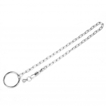 Stainless Steel Pet Birds Parrot Foot Chain Anklet Training Harness (Psittacula eupatria)