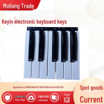 Korgi asendusklahvid PA500/600/700 ja Microx/R3/X50 klaviatuuridele Keys