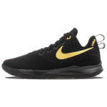 Nike LeBron Witness III Must Kuld AO4433-003 44