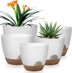 5 tk/komplekt isekastvad taimepotid &auml;ravooluavade ja kattega sise-/v&auml;listingimustesse aeda Lasteaeda Istutuspotid SET 5pcs gray