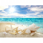 Round Drill Teemantmaaling Sea Star Conch Beach Tikand Sunrise Landscape Ristpistes 20X30CM