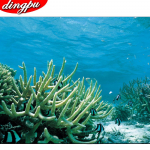 Teemantmaaling &uuml;mmarguste kivikividega Teemantmosaiik T&auml;ieliku paigutusega Loomad Ristpistes Rhinestones pildid 20X30CM