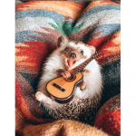 Teemant 5D DIY Teemantmaaling Siilikitarr Mosaiik Ristpistes Kunstmuster Teemanttikandid K&auml;sit&ouml;&ouml; Kodukaunistus Full Round 20X30CM