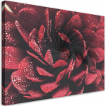 L&otilde;uendiprint Makro lill 60x40 punane