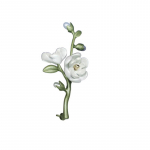 Lilles&otilde;lg Lillemoe pross sulamist mageveep&auml;rlitarvikud