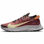 Nike Pegasus Trail 2 'Punane Kollane' Tossud CK4305-600 41