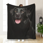 1 tk Pehme flanellist must kass ja koer tekk &ndash; hubane, k&otilde;ik hooajad, sobib diivanile/voodile/kontorisse/salliks/jala soojendajaks/telkimiseks, kingitus lemmikloomade armastajatele 30x40in