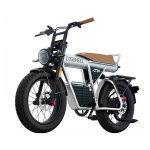 Coswheel adult electric bike CT20 2000W 48V 25AH maximum range up to 140KM large 20-inch tyres ebike mountain bike electric bike