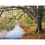 5D DIY Teemantmaal Tikand Salap&auml;rane puu ristpistes T&auml;is&uuml;mmargune kivikivist kodukaunistus 20X30CM