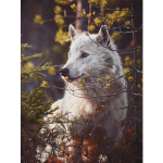 Wolf Icefield Wolf Fashion 5d Teemantmaal t&auml;isring 50x40cm pilt 20x15CM mitmev&auml;rviline