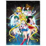 Teemantmaaling Kass Mosaiik Ingel Kodukaunistus Tikand Looduslik Loom Seinakleebis Full Round 20X30CM punane