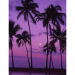 DIY 5D Teemantmaal Merevaatega P&auml;ikeseloojangu Teemantkunst Tikand Ristpistes T&auml;is&uuml;mmargune puurvaiguga k&auml;sit&ouml;&ouml; Kodukaunistuse kingitus Full Round 15x20CM