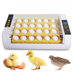 24 muna inkubaator automaatse munakeeramise, niiskuse reguleerimise ja munak&uuml;&uuml;nla valgusega, US Plug