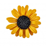 P&auml;evalille prossn&otilde;el naistele Kollane lill kraen&otilde;el Kr&uuml;santeemi pross Mantli M&uuml;tsi Kampsuni aksessuaarid kollane