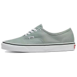 Vans Authentic 'Color Theory Iceberg Green' Vans VN000BW5CJL 35 roheline