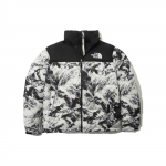 THE NORTH FACE 1996 Novelty Nuptse Jakk 'White' Meeste NJ1DN76A XS