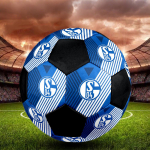 FC Schalke 04 Sisejalgpalli pall V&auml;rviline K&otilde;ik vanused Suurus 5 Masin&otilde;mmeldud PVC V&otilde;istluseks Valmis Vastupidav K&otilde;rge p&otilde;rkega