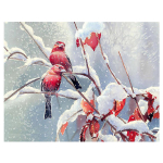 Teemantristpistega Crystal Diamond komplektid L&otilde;petamata dekoratiivsed teemanttikandid 20X30CM