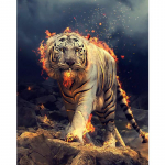 Tiger Anime kohandatud 3D teemantmaalit&ouml;&ouml;riistad 40x50cm pilt 20x15CM