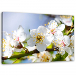 L&otilde;uendiprint Apple Tree Flower Nature 60x40 sinine