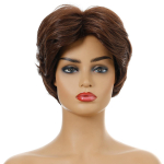 S&uuml;nteetiline l&uuml;hike lokkis parukas naiste parukad tukkidega Naturaalne segatud pruun naiste parukas igap&auml;evaseks kasutamiseks kuumakindlast kiust pruun