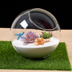 Taimede Terrarium Mikromaastik Maja L&auml;bipaistev Konteiner Klaasvaas Kaldl&otilde;ikega Pulmadeks Elutuppa Diameter 10cm