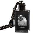 Siamese - Crystal pendant with cat photo, illuminated pendant, unique gift by Art-Dog brand puhas