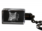 Manx - Crystal pendant with cat photo, illuminated pendant, unique gift by Art-Dog brand