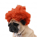 Naljakas lemmikloomaparukas Sile l&auml;ikiv libisemisvastane reguleeritava ribaga lokkis juustega kass Halloweeni j&otilde;ulupidu Cosplay peakate Fotorekvisiit Koera kassi parukas