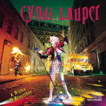 CD CYNDI LAUPER - Night to Remember EK44318 Epic 1989 USA Tants & Elektroonika Kasutatud