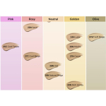 [TIRTIR] TIRTIR Mask Fit AI Filter Cushion 18g 30N Rich Honey