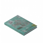 [EELTELLIMUS] KickFlip &ndash; Minu Esimene Kick Minu Esimene Reis Vers. 1PCS