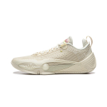 Li Ning korvpallijalan&otilde;ud meestele madalad Xuan Paper White ABAW011-6 41