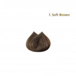 Richenna Easy Speedy Gold juuksev&auml;rv [&scaron;ampoonit&uuml;&uuml;pi v&auml;rv] 5ea (tuub) &ndash; 2 v&auml;rvi 1. Soft Brown
