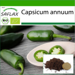 SAFLAX - Orgaaniline - Kuum t&scaron;illipipar - Varajane Jalapeno - 20 seemet - Potisubstraadiga paremaks kasvatamiseks - Capsicum annuum