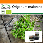SAFLAX - Aed kotis - Orgaaniline - Majoraan - 700 seemet - Substraadiga sobivas p&uuml;stijas kotis - Origanum majorana