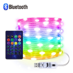 V&auml;lis-USB LED-valgustid Dream Color RGBIC Bluetooth Music App Fairy Lights J&otilde;ulupulmapeo Garland Decor 5M mitmev&auml;rviline