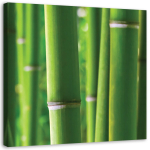 L&otilde;uenditr&uuml;kk Bamboo Zen Spa Nature 30x30 roheline