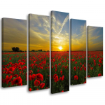Viieosalise pildiga l&otilde;uenditr&uuml;kk Field Poppy Sunset 100x70 punane