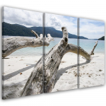 Kolmeosalise pildiga l&otilde;uenditr&uuml;kk Sea Sand Beach Tree 60x40 beež