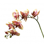 L&otilde;hnatu kunstlill Suurep&auml;rane t&ouml;&ouml;tlus Praktiline suurep&auml;rane kunstlik Phalaenopsise lillekimp &uuml;hiselamu pulmadekoratsioon kollane