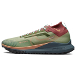 Nike React Pegasus Trail 4 GORE-TEX Alligator Orange Trance Meeste Tossud Roheline Mint-Foam Canyon-Rust DJ7926-300 41 brown