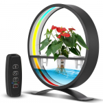 Veefunktsioon siseruumides valguse kontrolleriga LED-r&otilde;ngasvalgustid lauapealsete ornamentide v&otilde;lulaterna APP Dual color lamp must