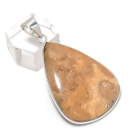 Natural Fossil Coral Gemstone 925 Sterling Silver Jewelry Pendant 2.01 t4q20