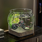 Kalaakvaariumi Tarvikud Dekoratiivne Kaasaskantav Laua Kaunistus Kilpkonna Vaatlemine XL
