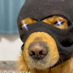 Koerte kost&uuml;&uuml;mid suurtele koertele Suusa maskid Koerte m&uuml;tsid koertele Lemmiklooma koera kiiver Uhke kost&uuml;&uuml;m Cosplay Lemmikloomatarvikud must